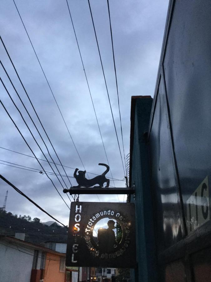 Trotamundo Oaxaca Hostel Dış mekan fotoğraf
