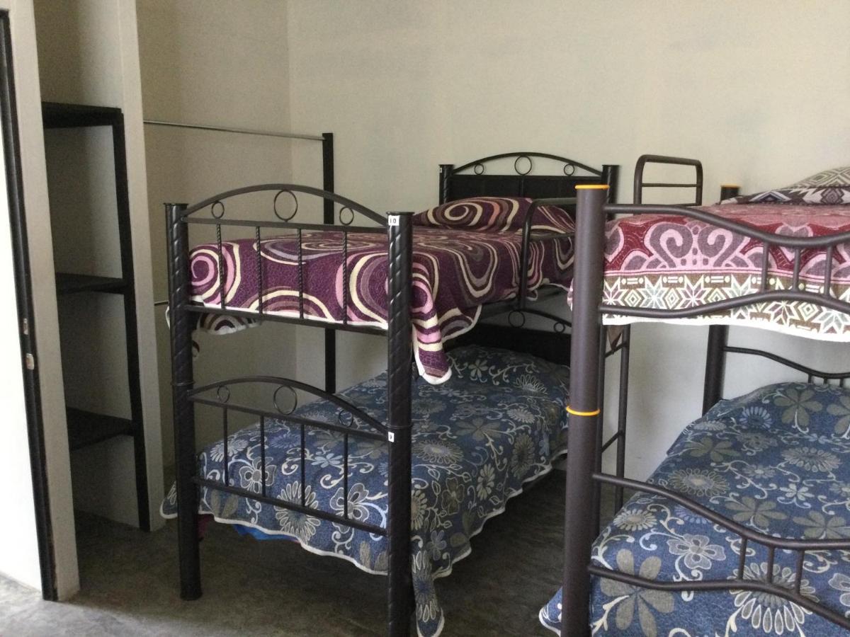 Trotamundo Oaxaca Hostel Dış mekan fotoğraf